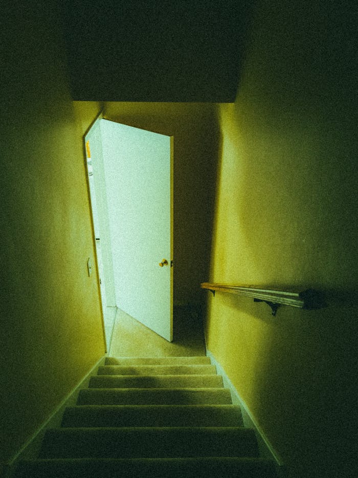 Home Moody basement staircase leading to an open door, creating a mysterious atmosphere indoors.